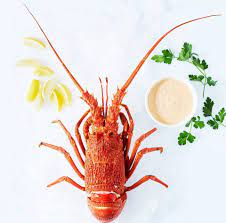 Cooked Southern Rock Lobster (whole)